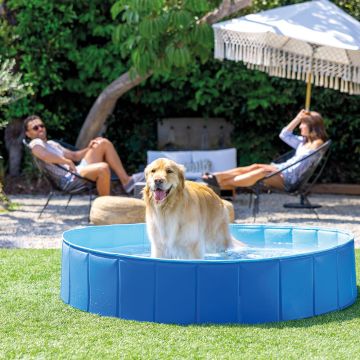 PISCINA PLEGABLE PARA ANIMALES