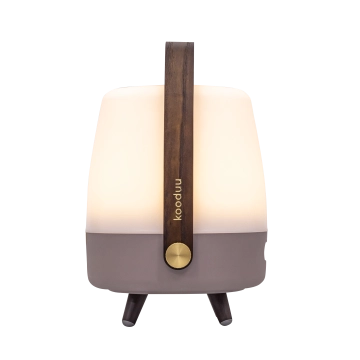 MINI ALTAVOZ LUMINOSO