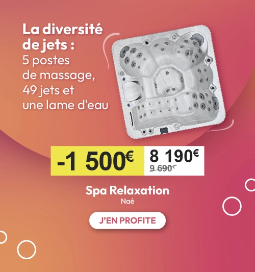 spa nae 5 postes de massages 49 jets irripiscine